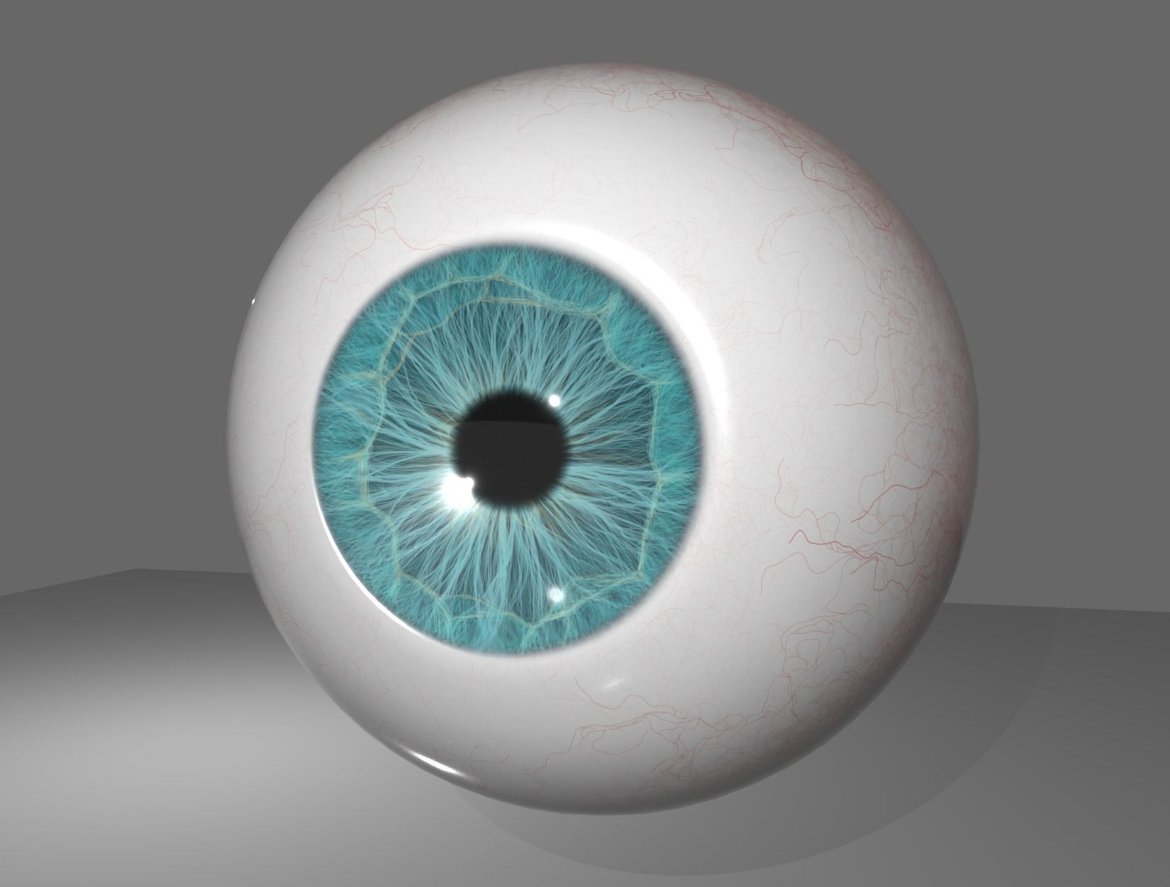HUMAN EYE 3D model_6