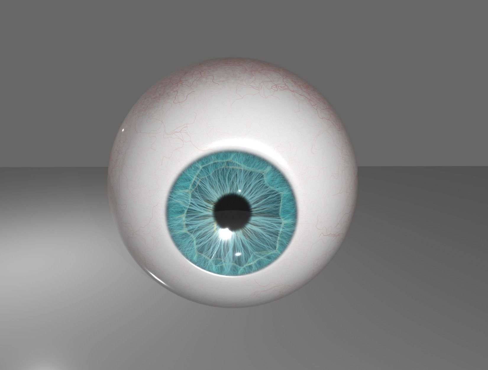 HUMAN EYE 3D model_1