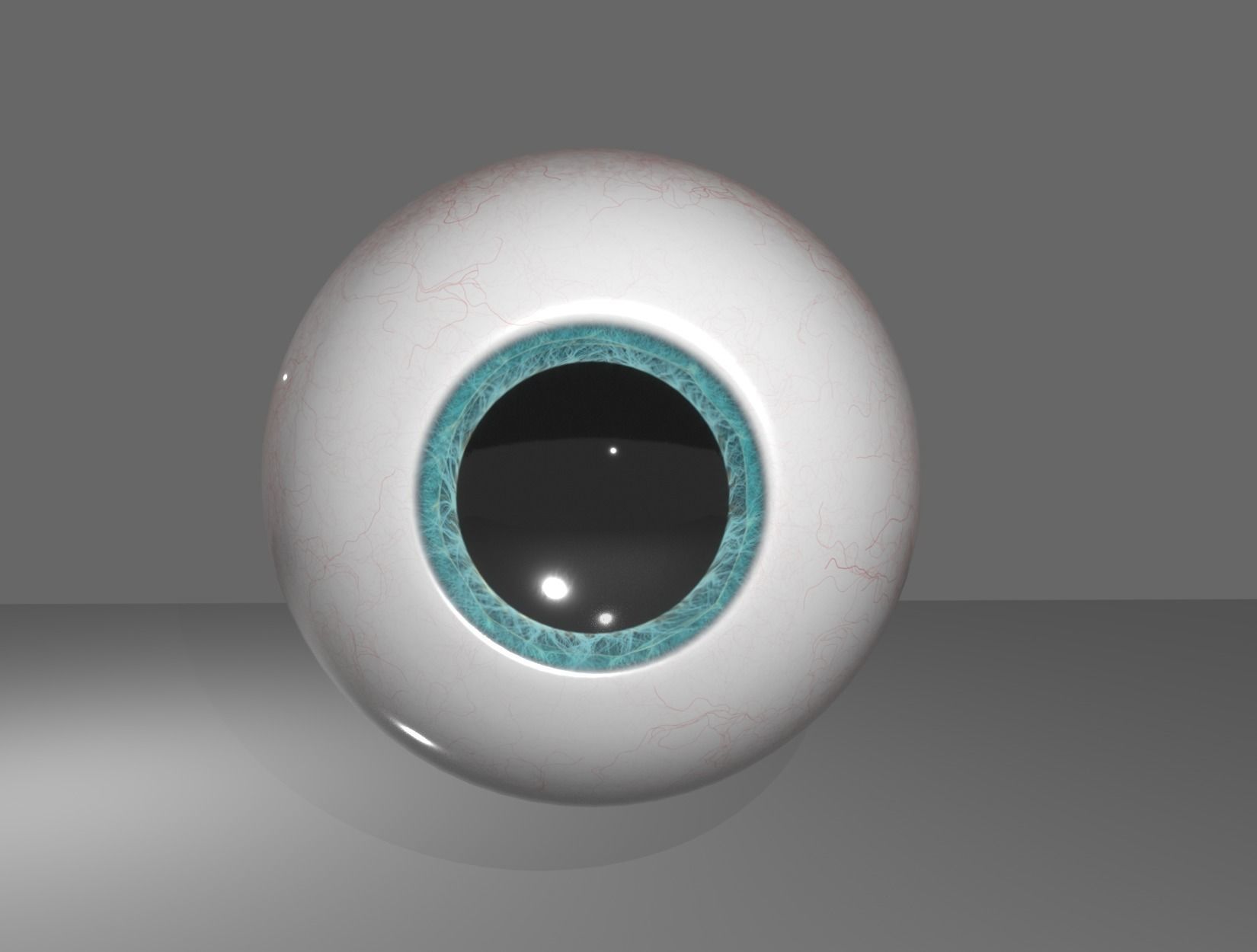 HUMAN EYE 3D model_4