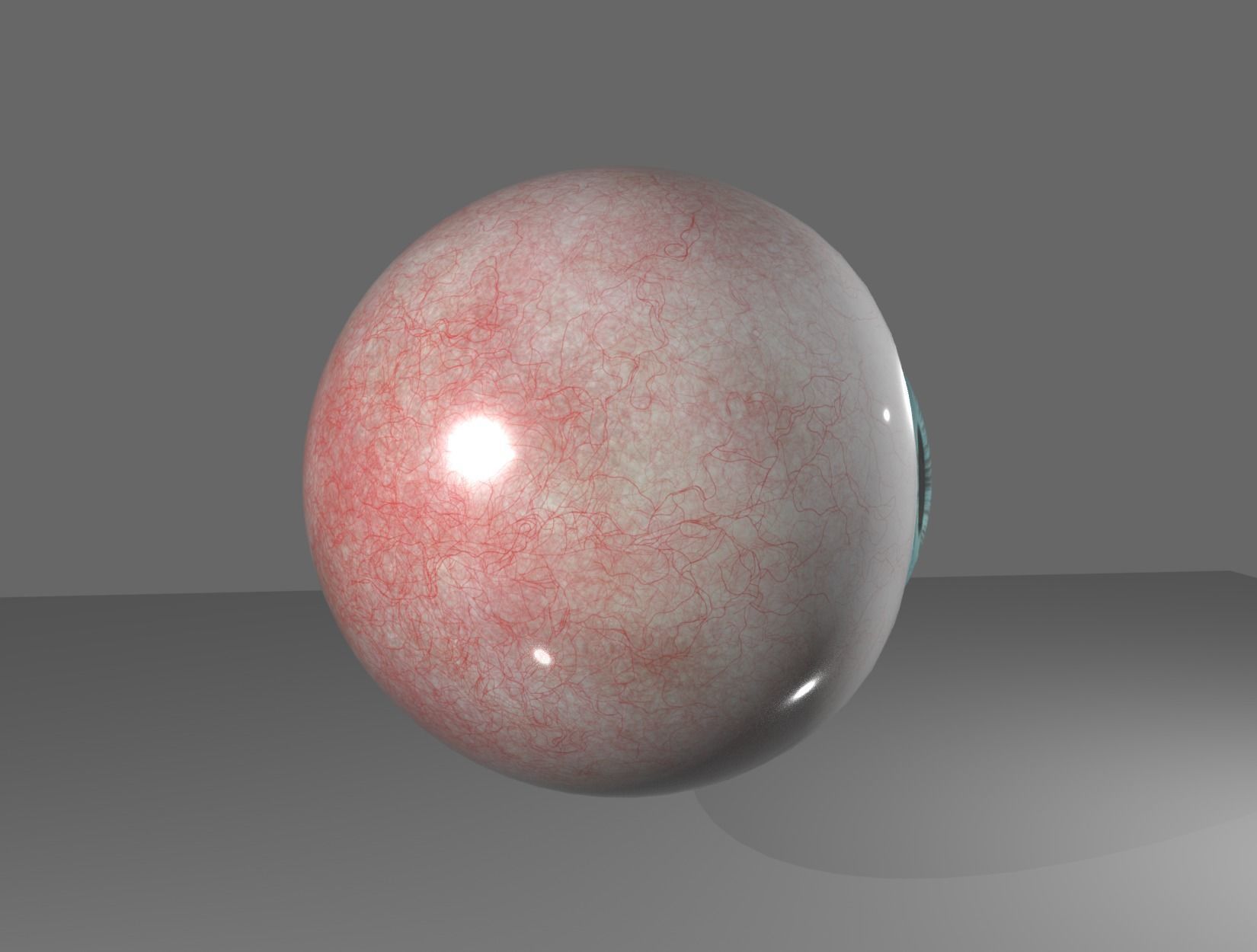 HUMAN EYE 3D model_10