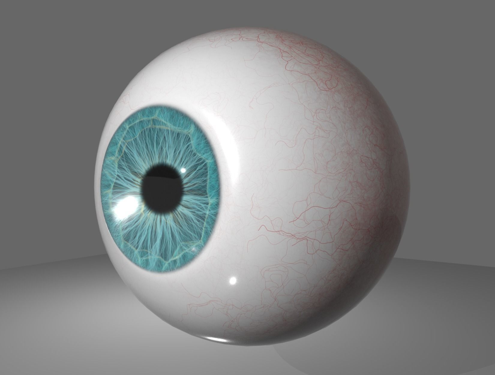 HUMAN EYE 3D model_7