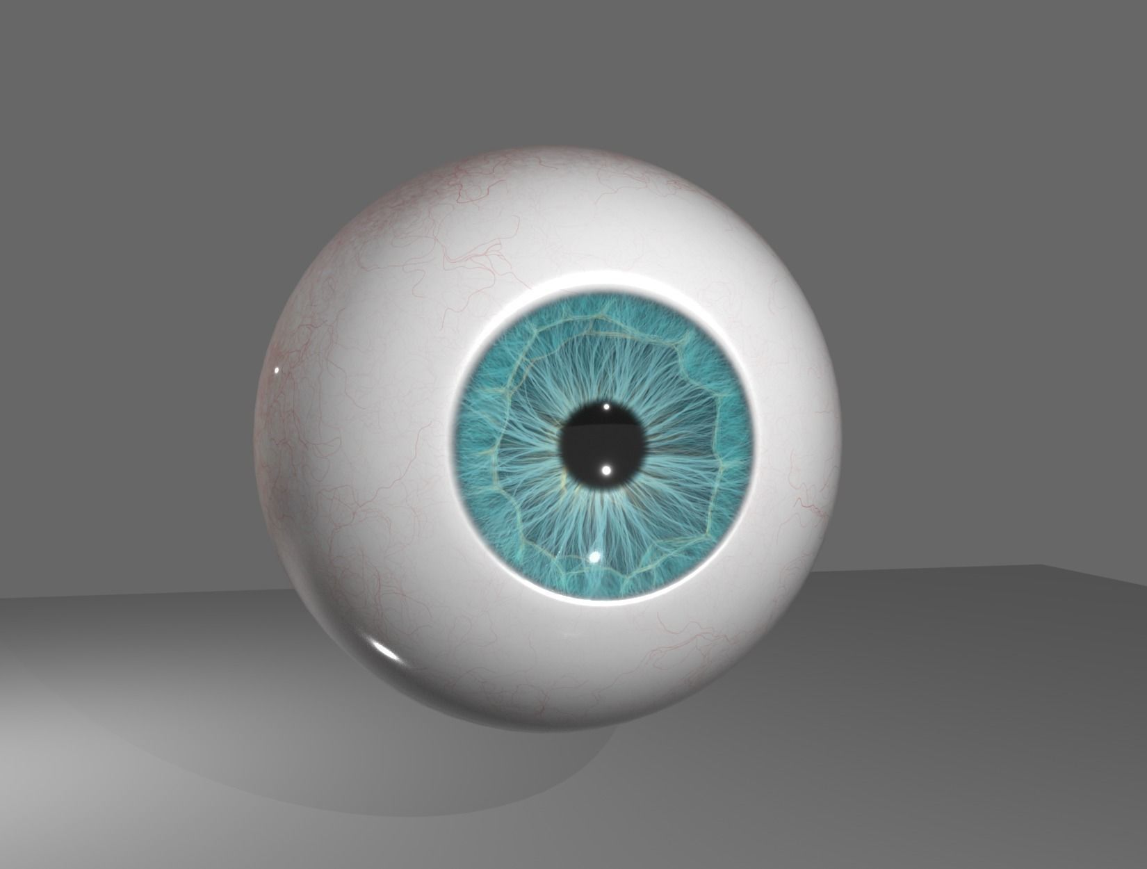 HUMAN EYE 3D model_13