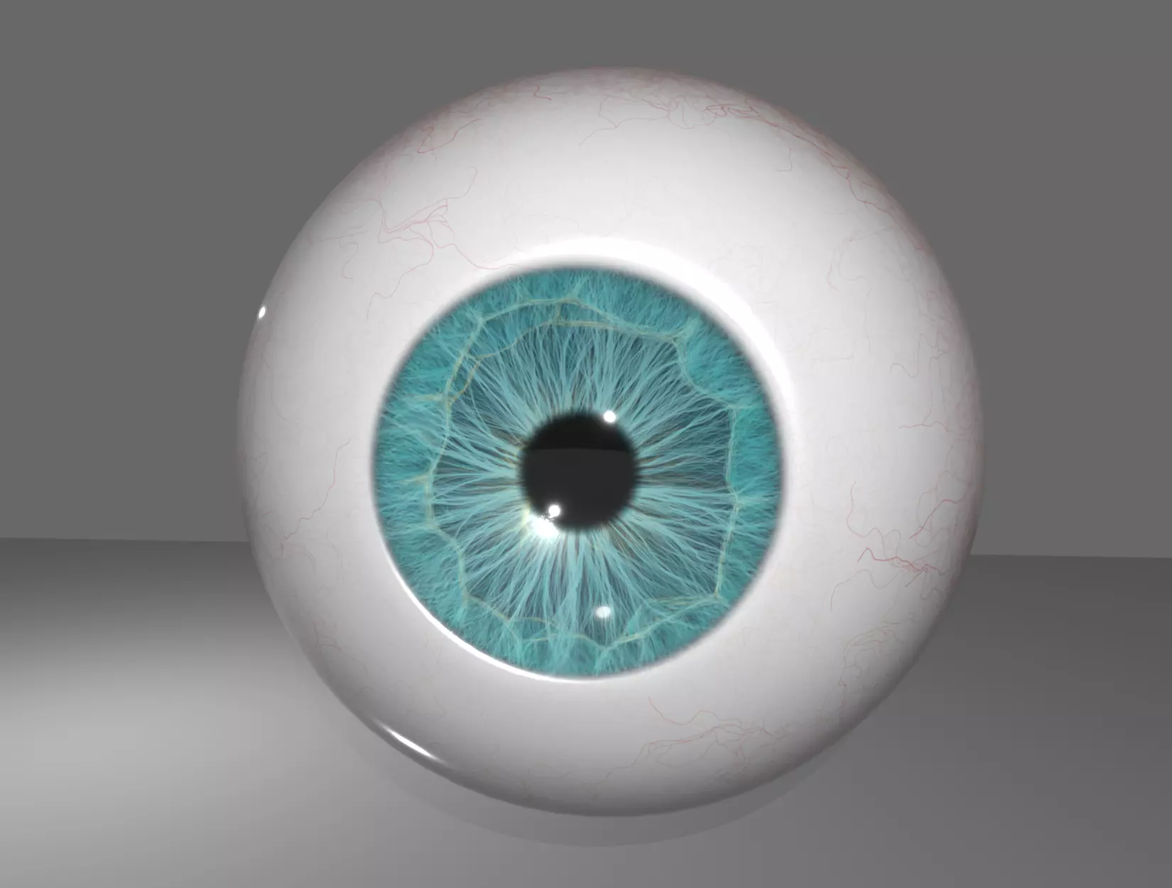 HUMAN EYE 3D model_0