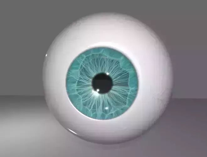 HUMAN EYE 3D model