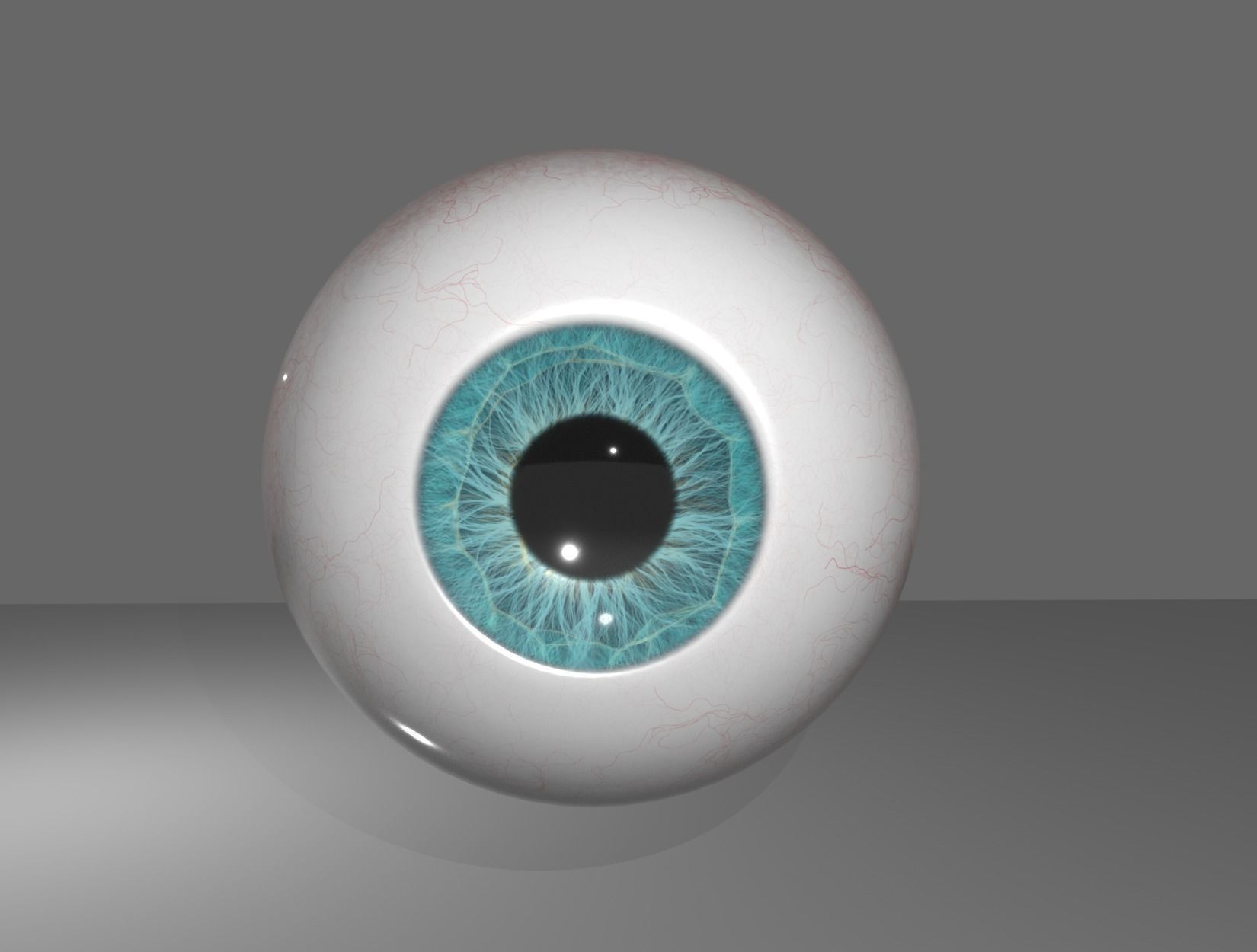 HUMAN EYE 3D model_3