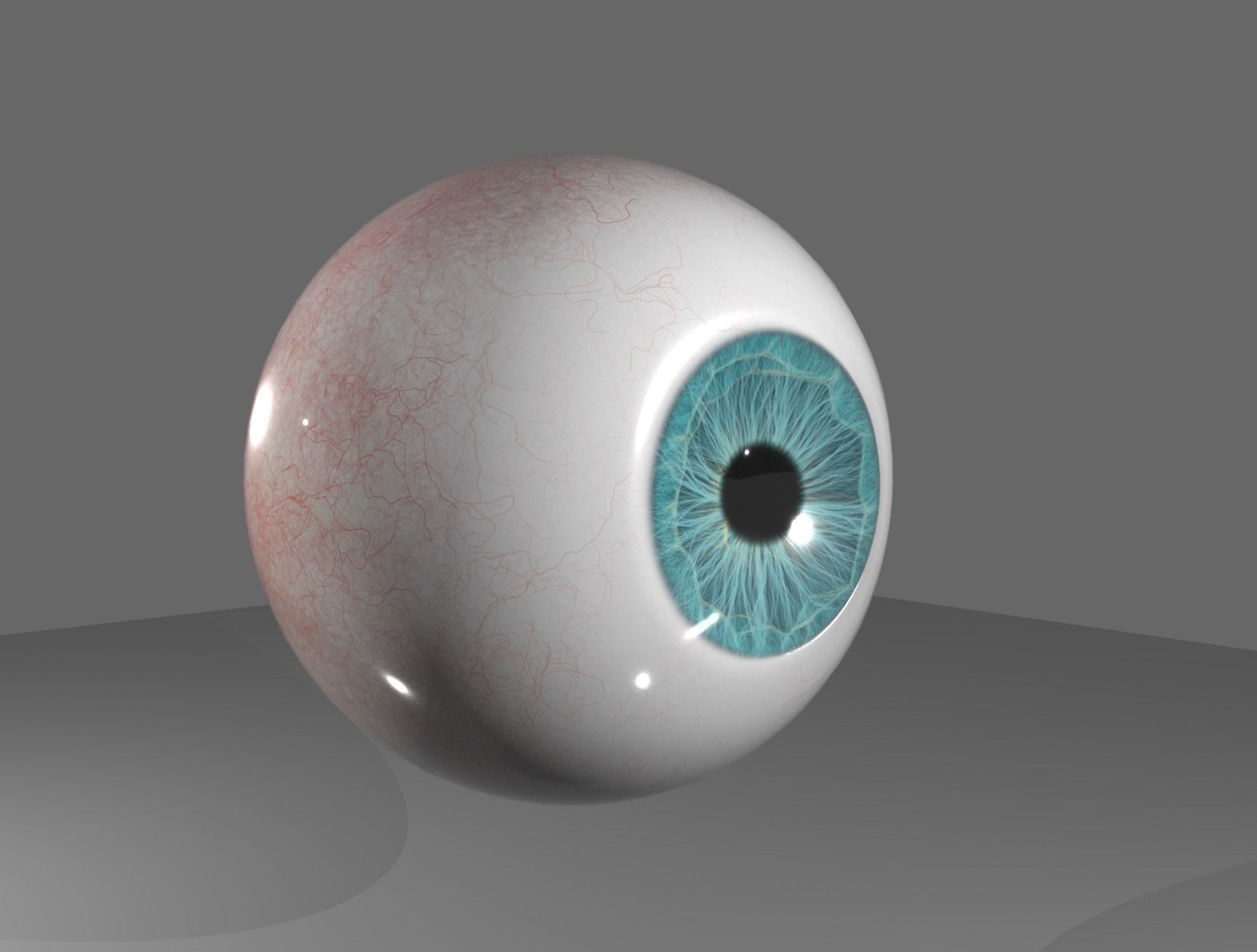 HUMAN EYE 3D model_12