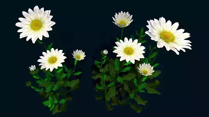 Flower Latvia Low-poly 3D model