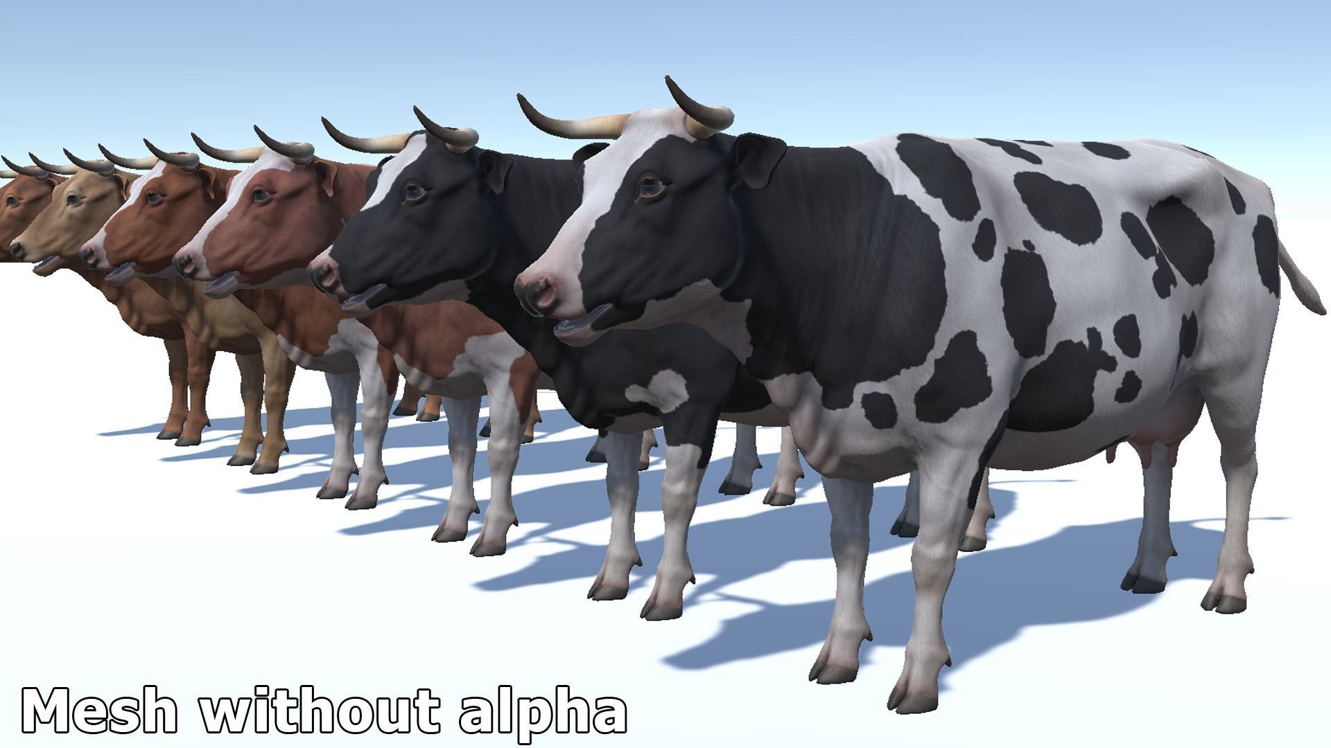 COW realistic Low-poly 3D model_14