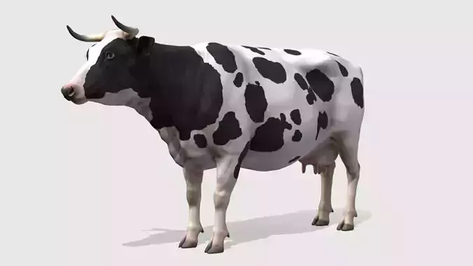 COW realistic Low-poly 3D model