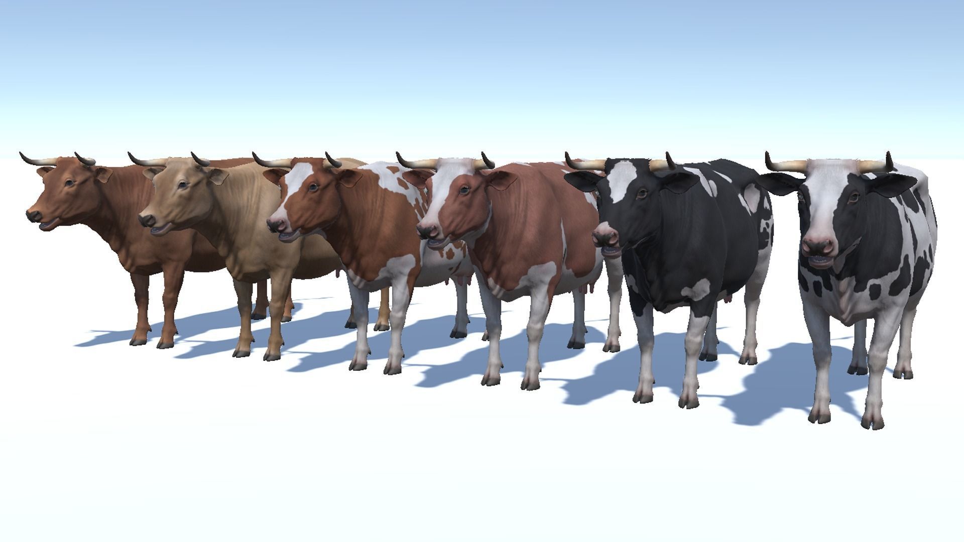 COW realistic Low-poly 3D model_7
