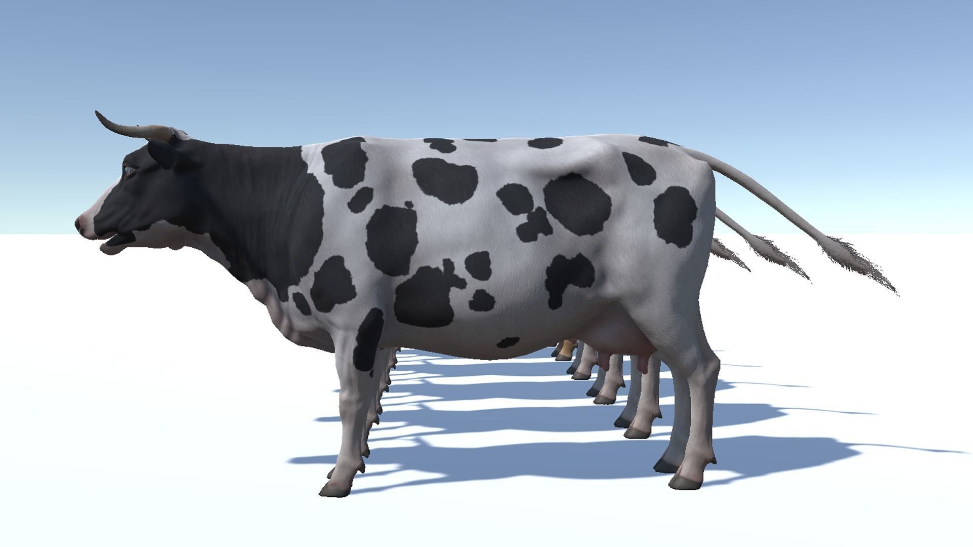 COW realistic Low-poly 3D model_12