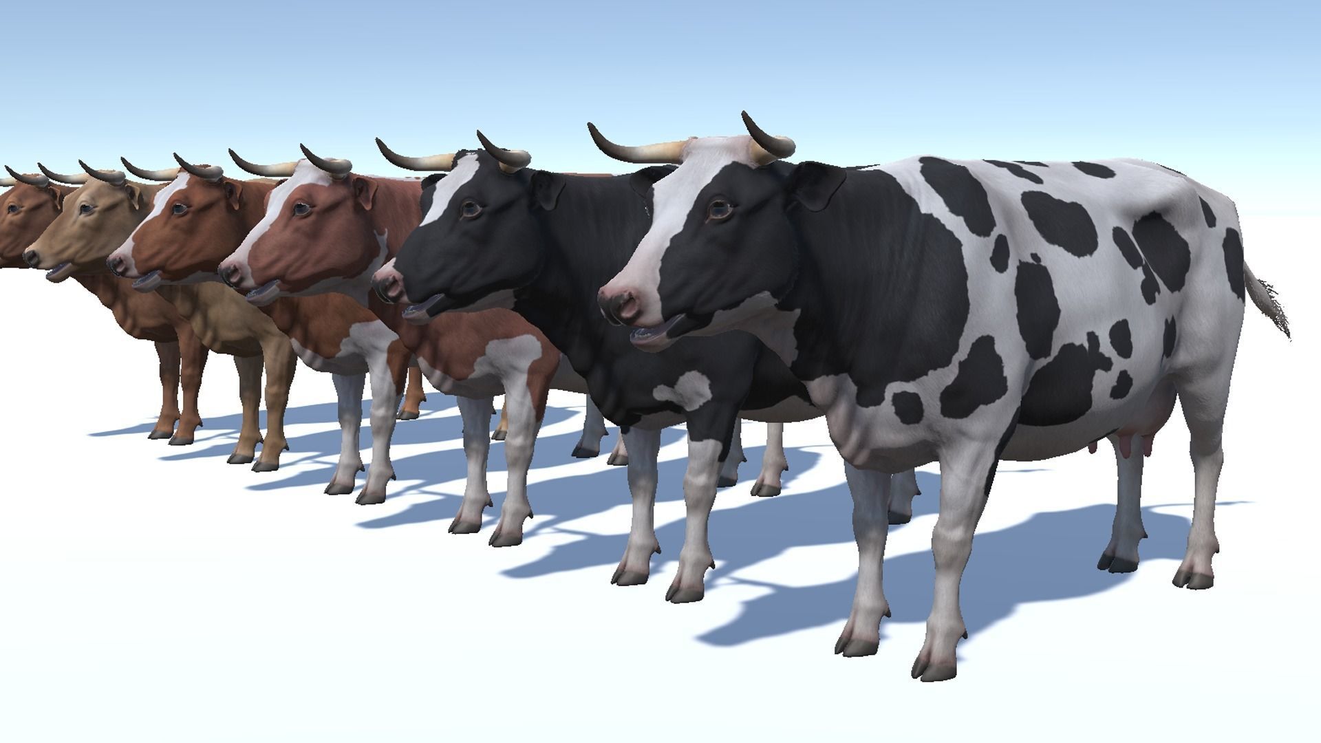 COW realistic Low-poly 3D model_8