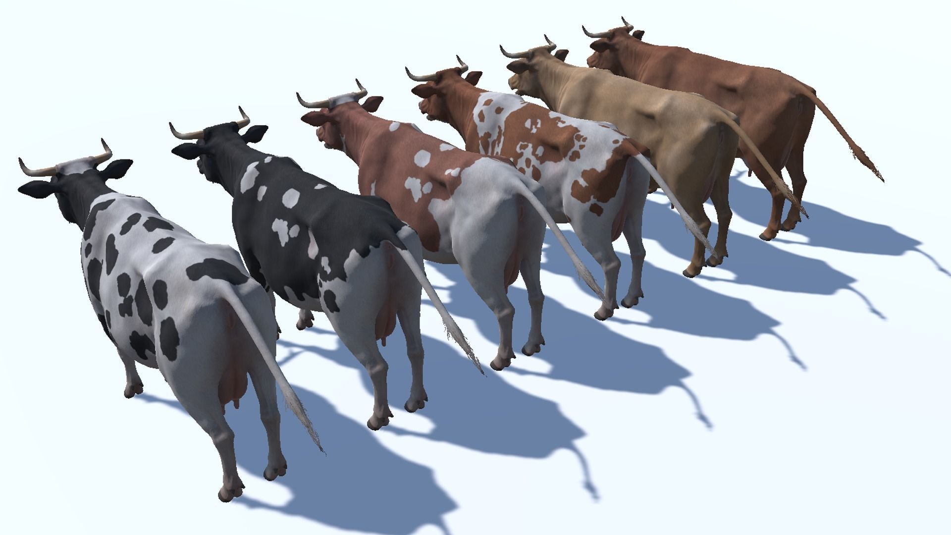 COW realistic Low-poly 3D model_13