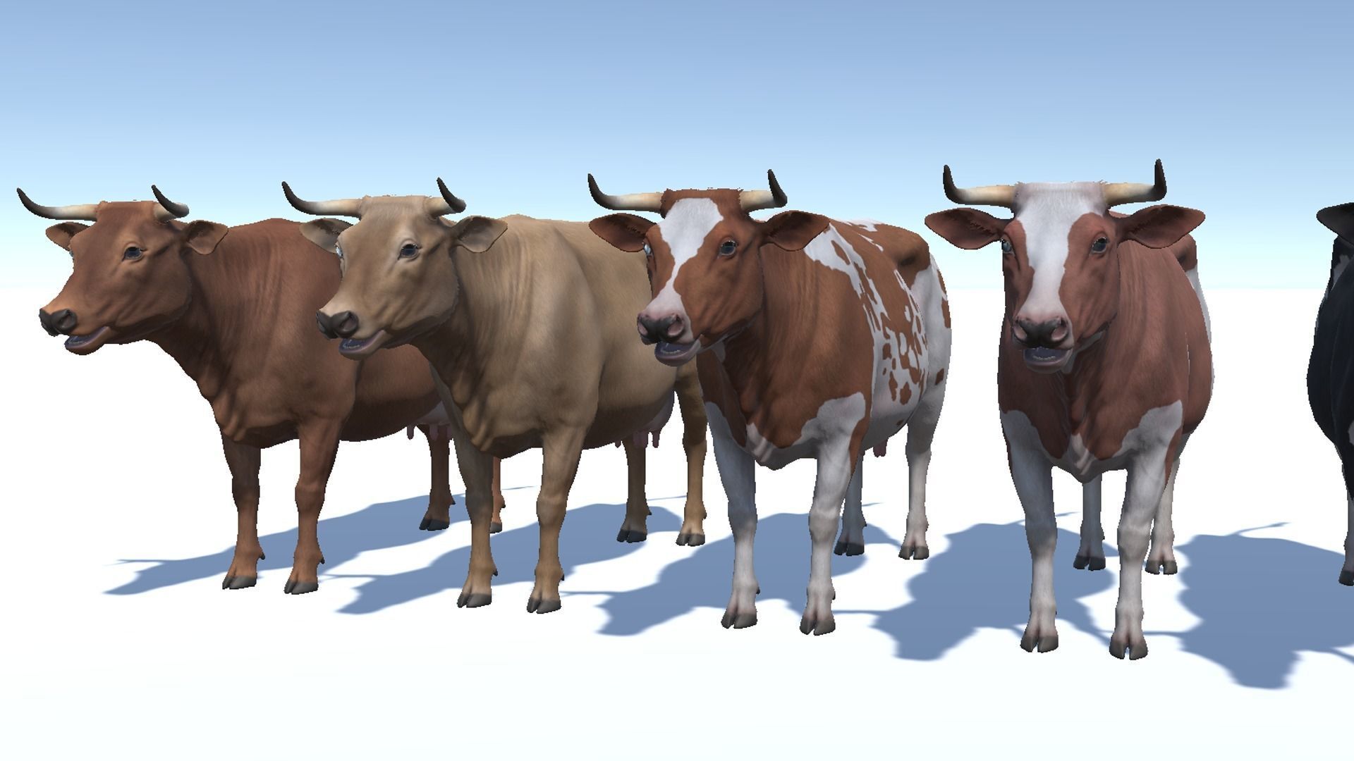 COW realistic Low-poly 3D model_9