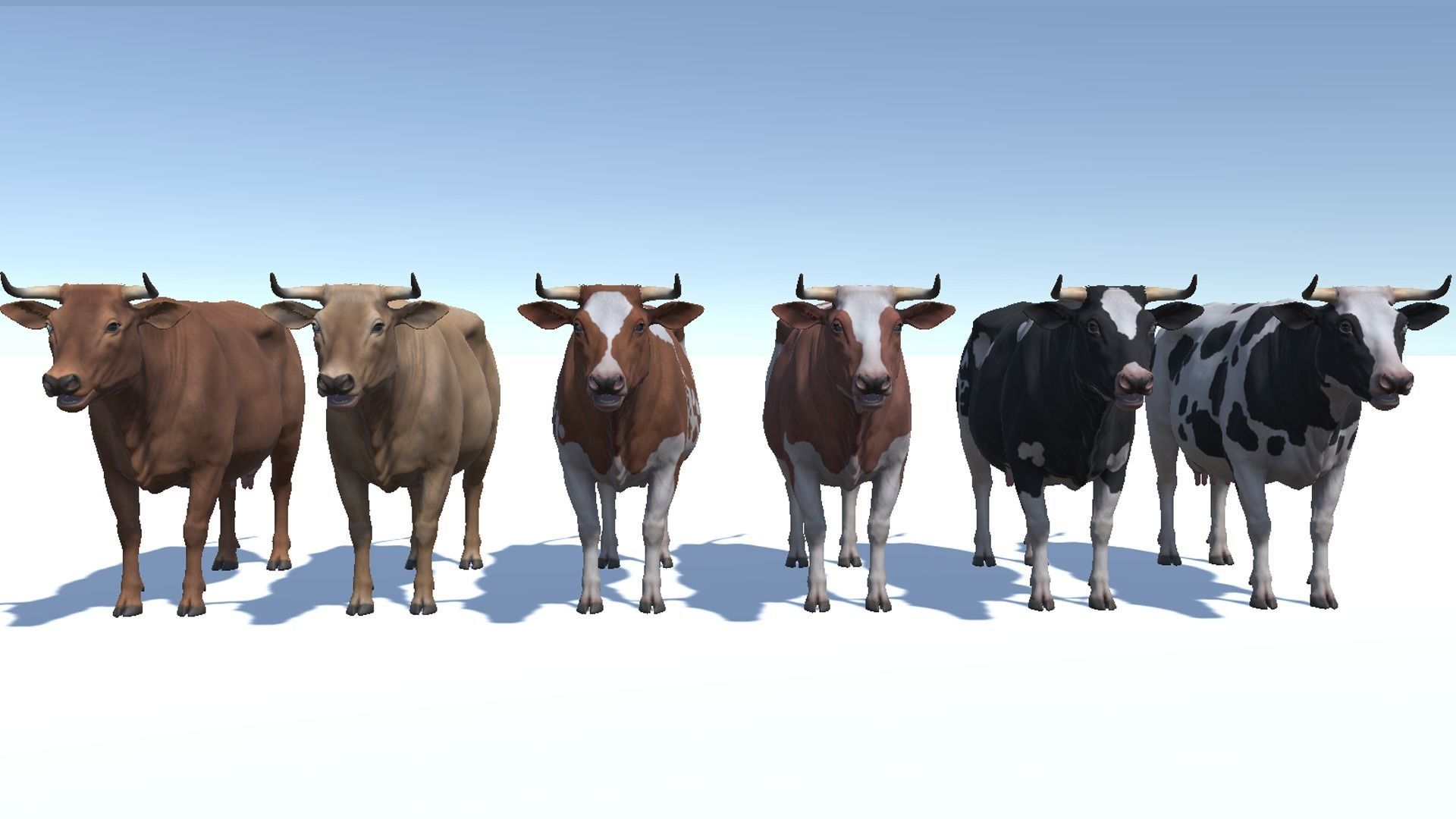 COW realistic Low-poly 3D model_11