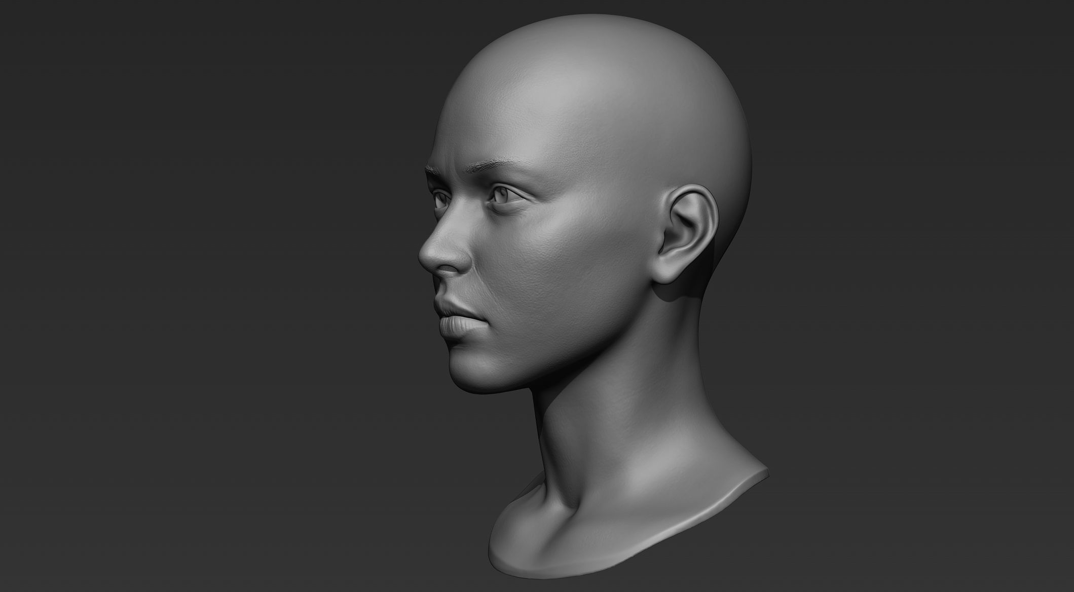 3D Printable Female Head 9 3D model_3