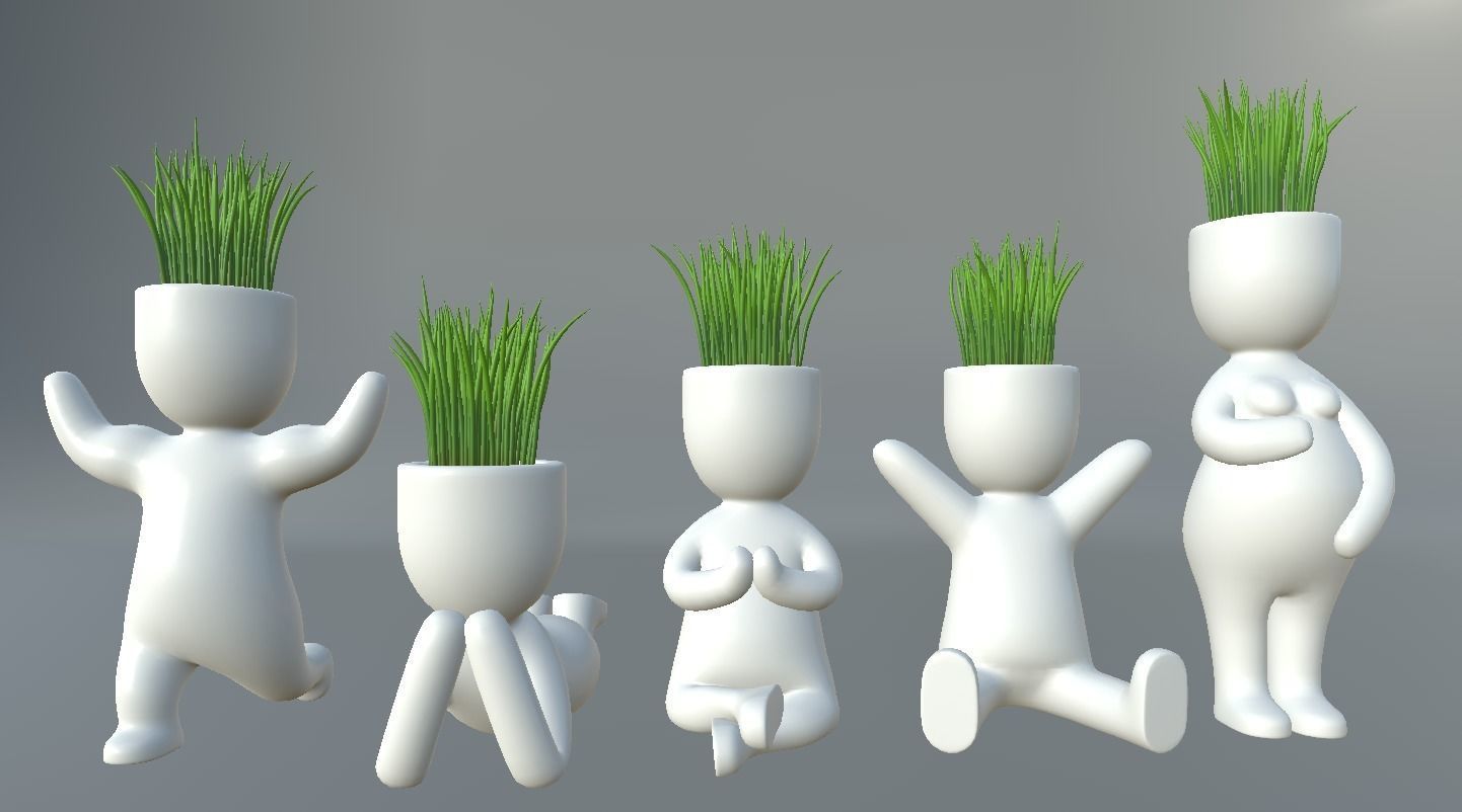 Plants in decorative pots Low-poly 3D model_0