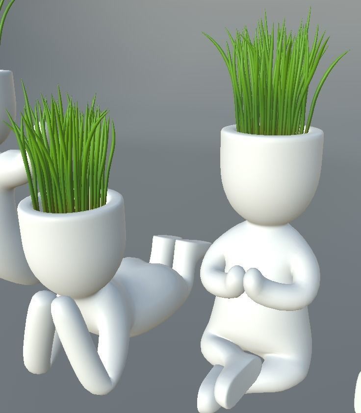 Plants in decorative pots Low-poly 3D model_3