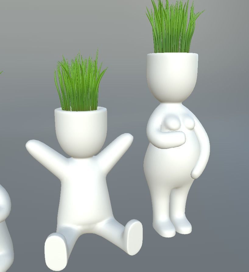 Plants in decorative pots Low-poly 3D model_4