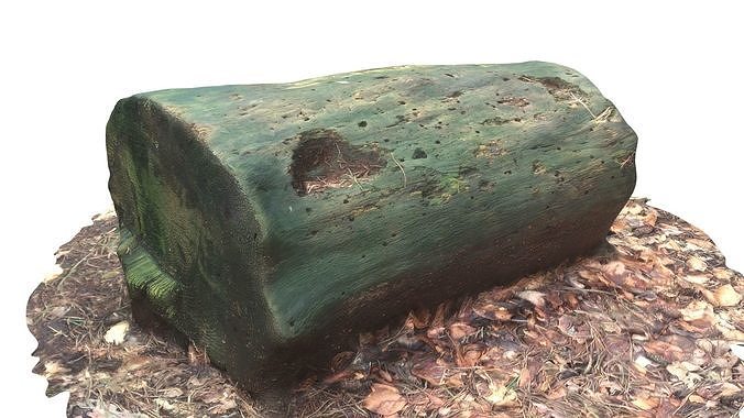 3D sawn of tree part model Low-poly 3D model