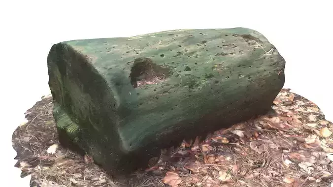 3D sawn of tree part model