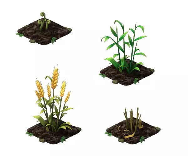 wheat sims crops 3D model_0