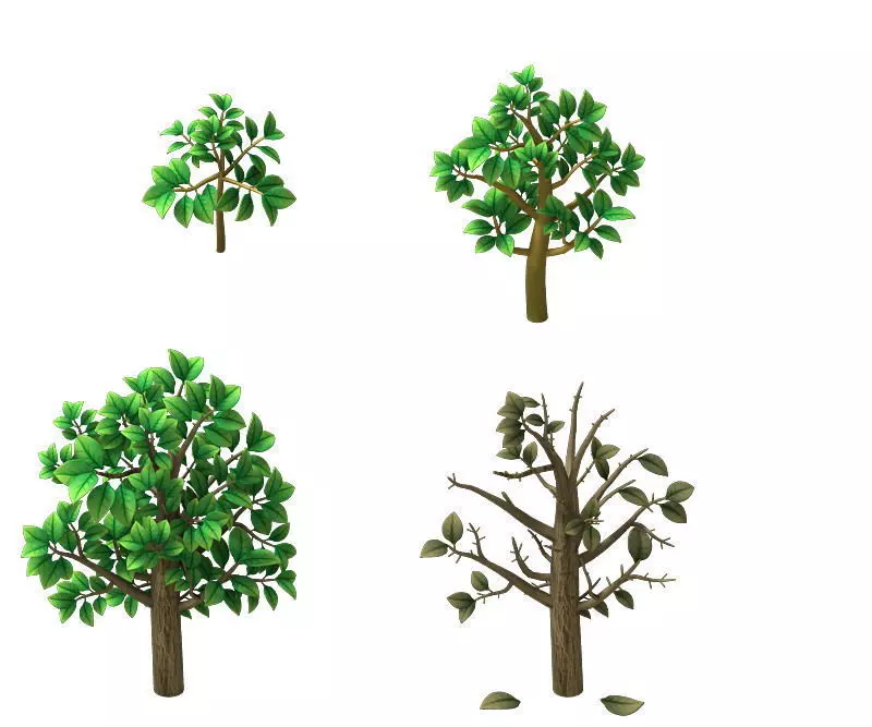 tree plant  3D model_0