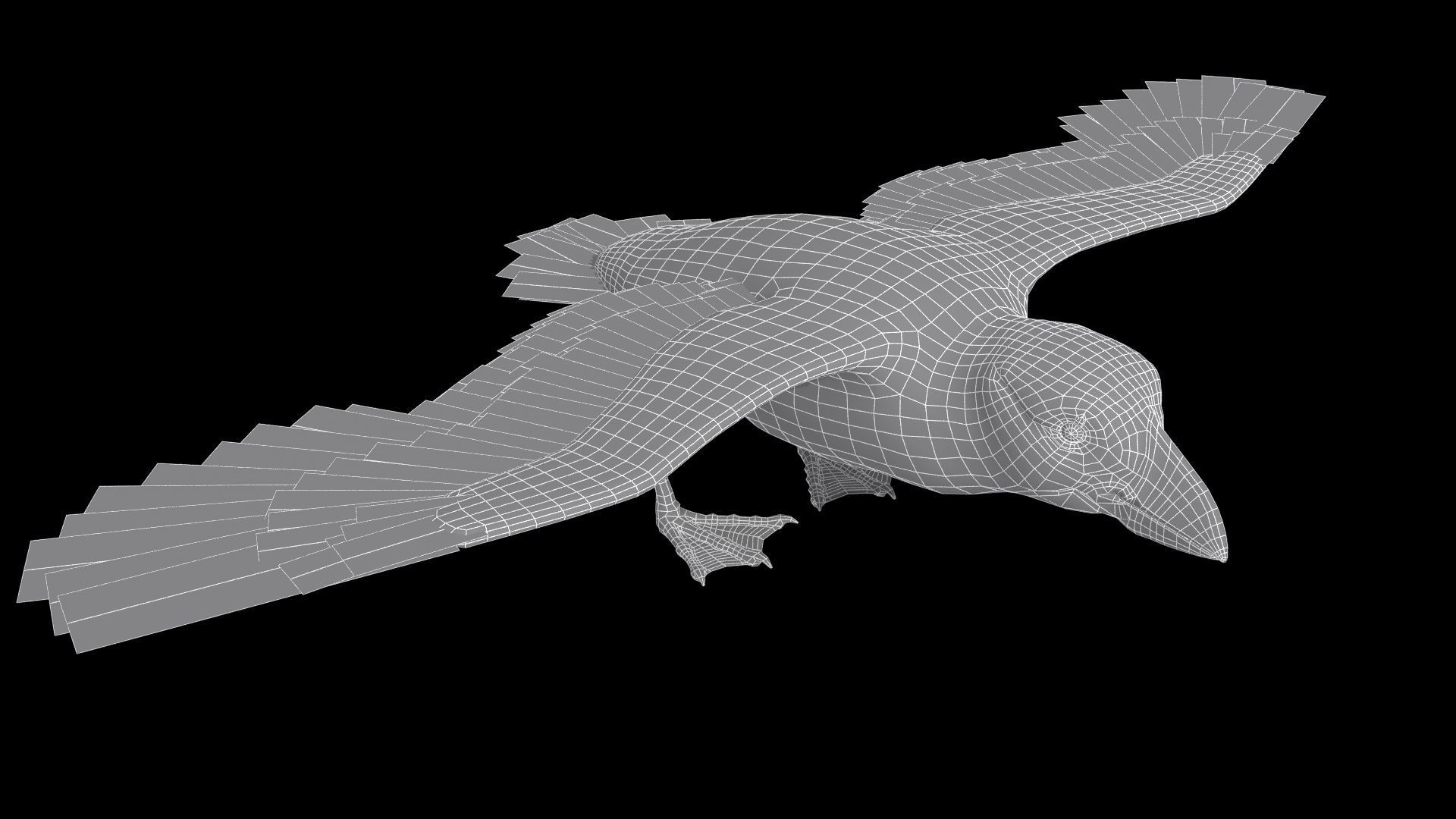 Puffin bird Low-poly 3D model_12