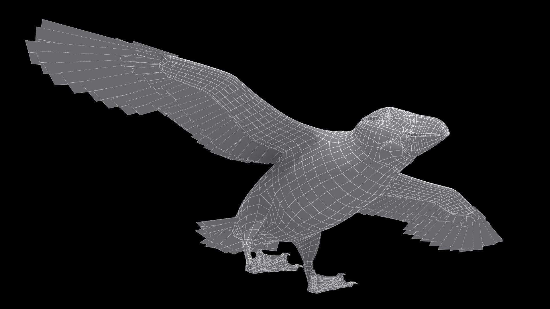 Puffin bird Low-poly 3D model_13