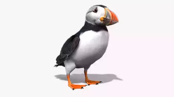 Puffin bird Low-poly 3D model