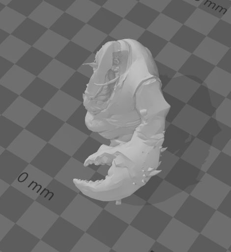 pirate maneaters - ogre mawtribes - dynamic pose 3D print model_9