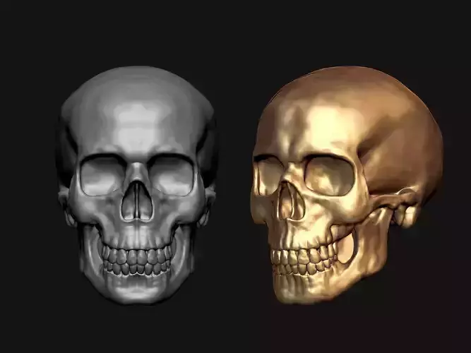Skull 3D Model silver 3D model