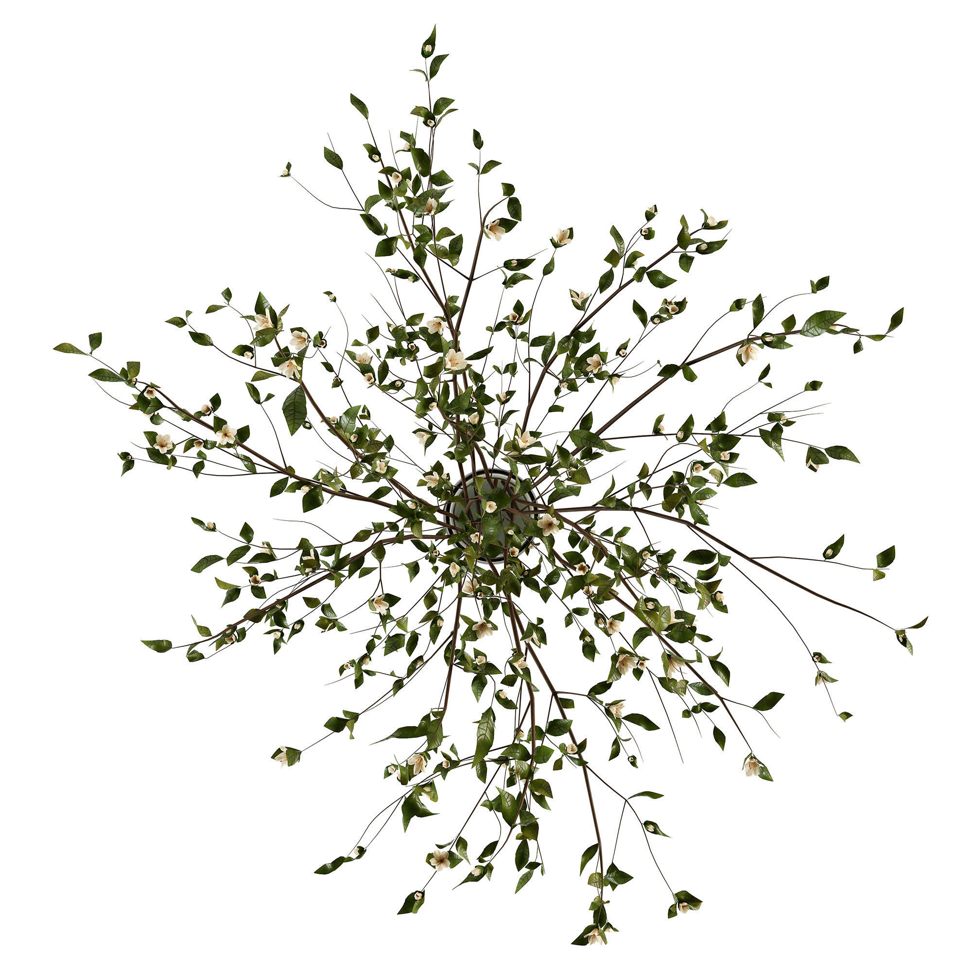 Branches in a vase 009 3D model_4