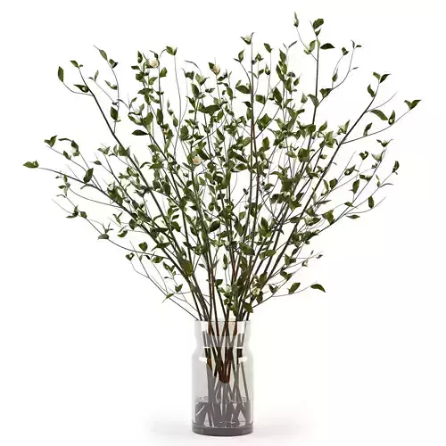 Branches in a vase 009 3D model