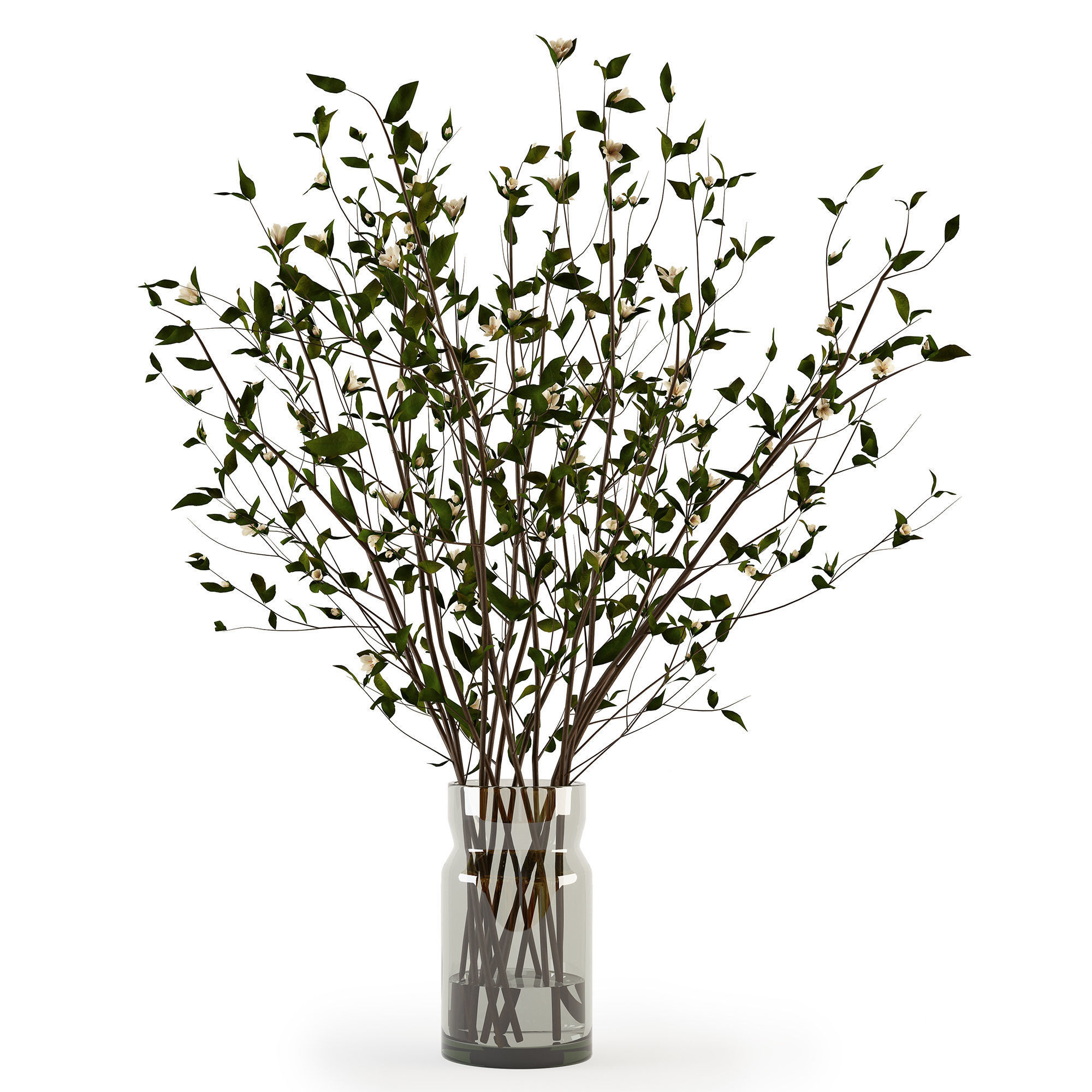 Branches in a vase 009 3D model_1