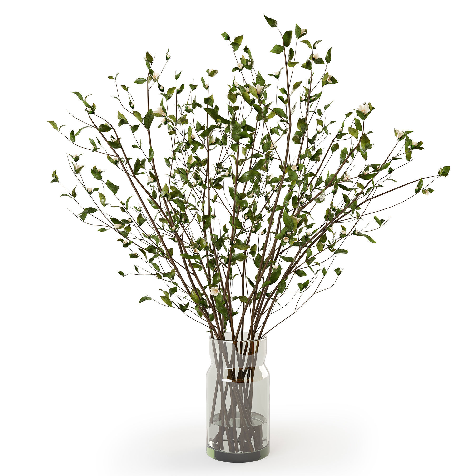 Branches in a vase 009 3D model_3