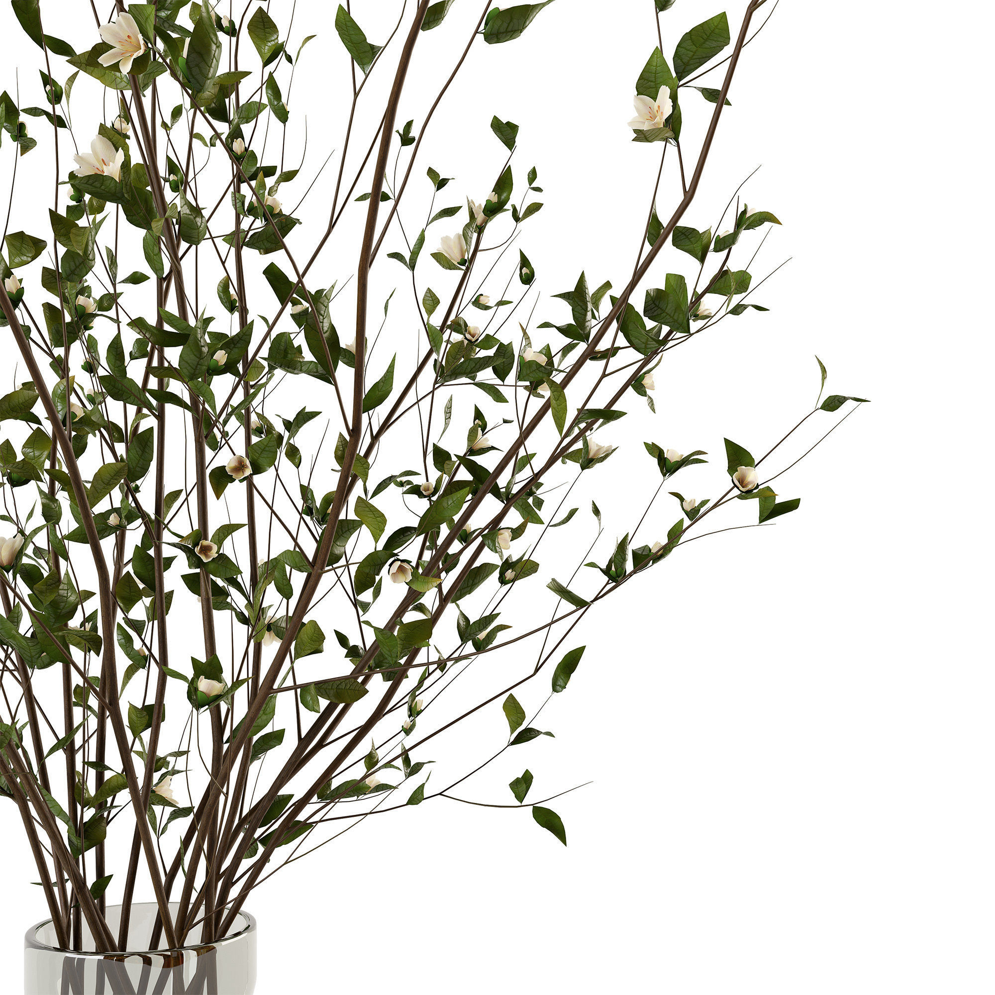 Branches in a vase 009 3D model_6