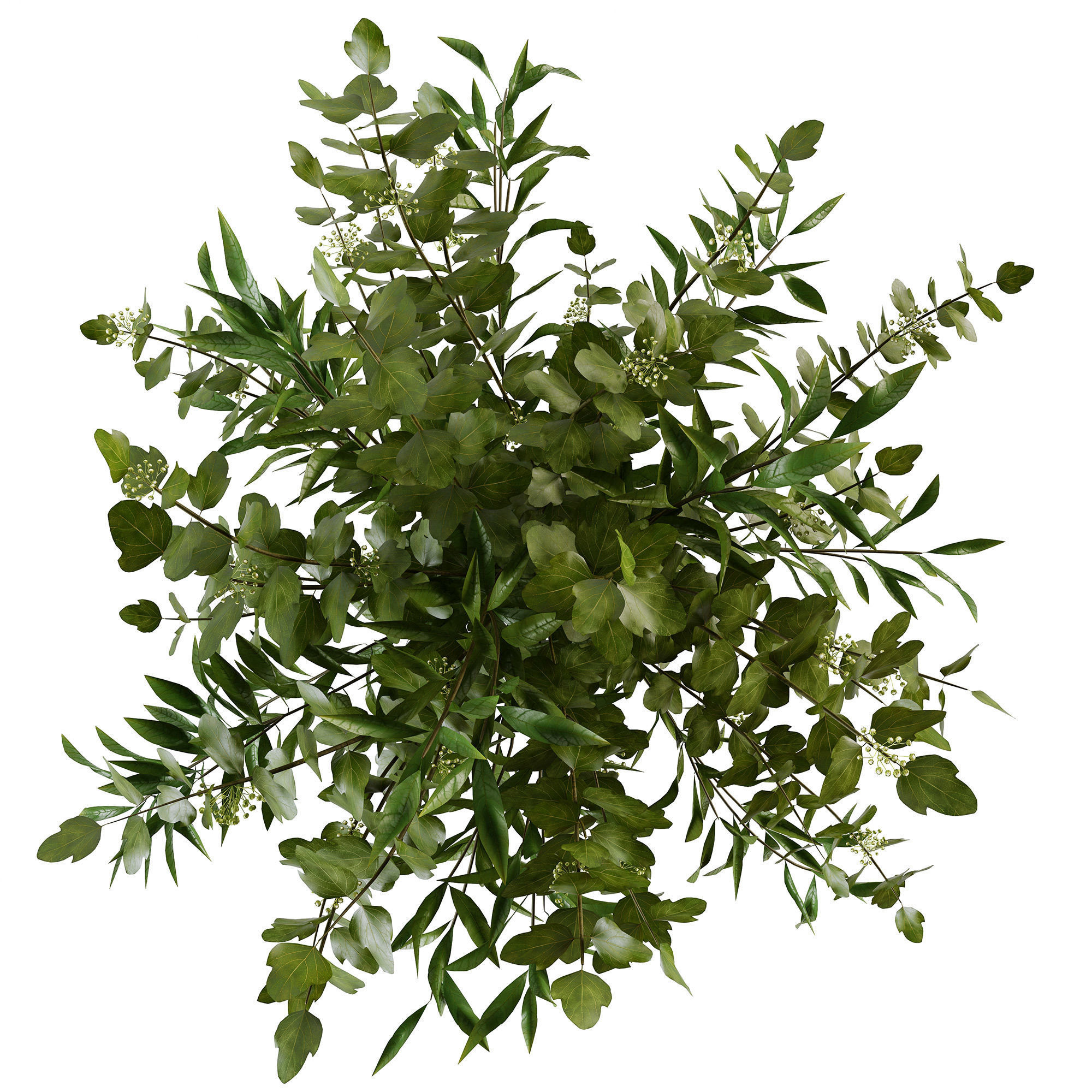 Branches in a vase 010 3D model_5
