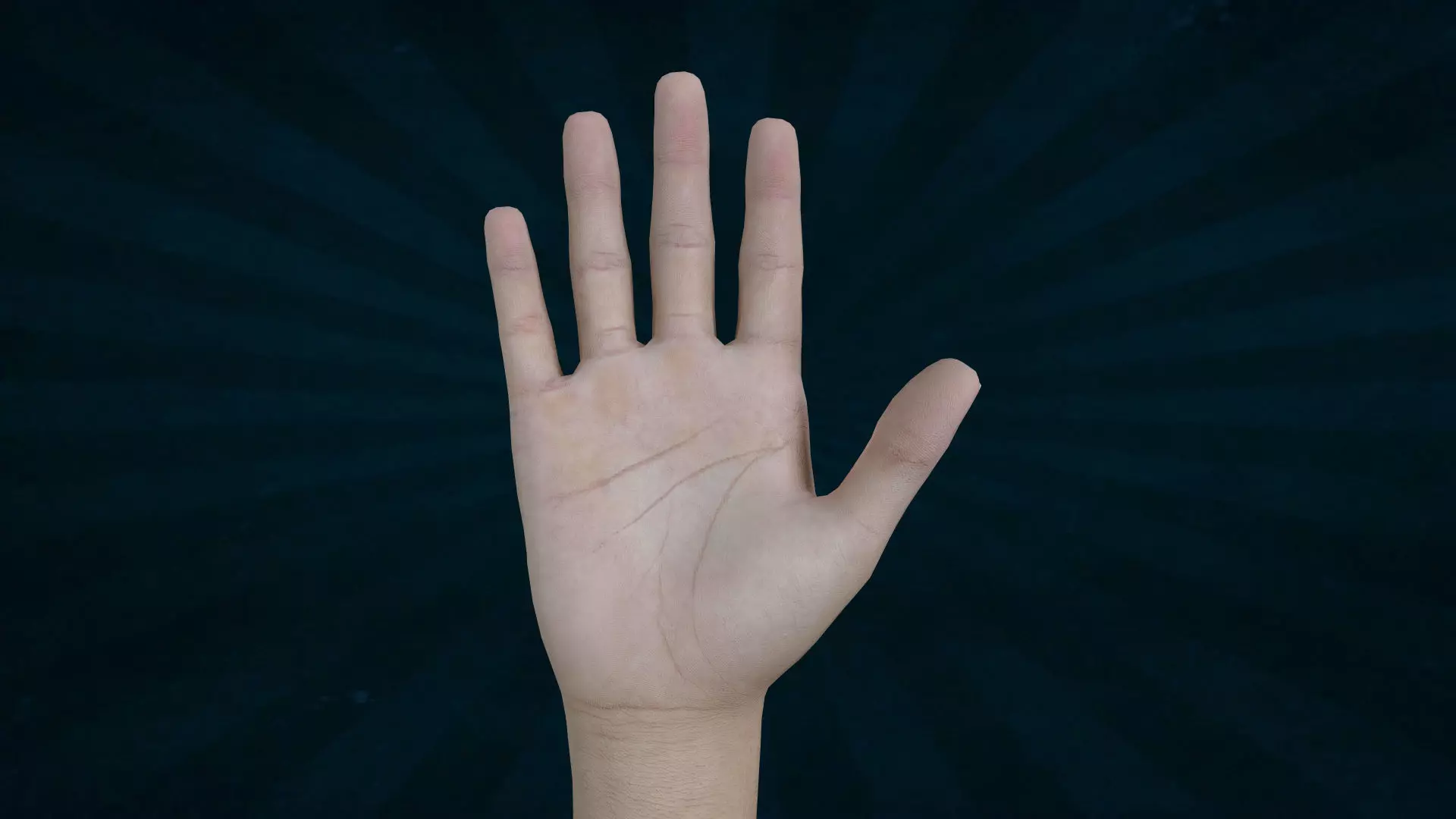 HAND-006 Rigged Right Hand Low-poly 3D model_0