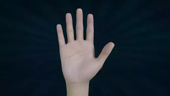 HAND-006 Rigged Right Hand Low-poly 3D model