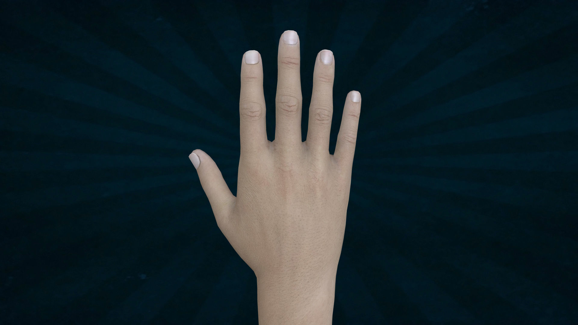 HAND-006 Rigged Right Hand Low-poly 3D model_2