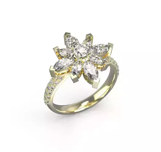 110119 R marquise star