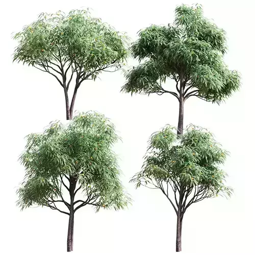 Set of deciduous trees with fruits - medlar - 4 models 3D model