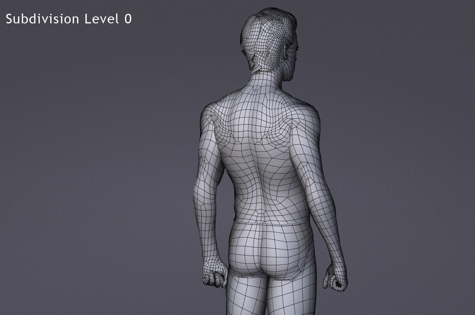 Male Full Body Rig Low-poly 3D model_21