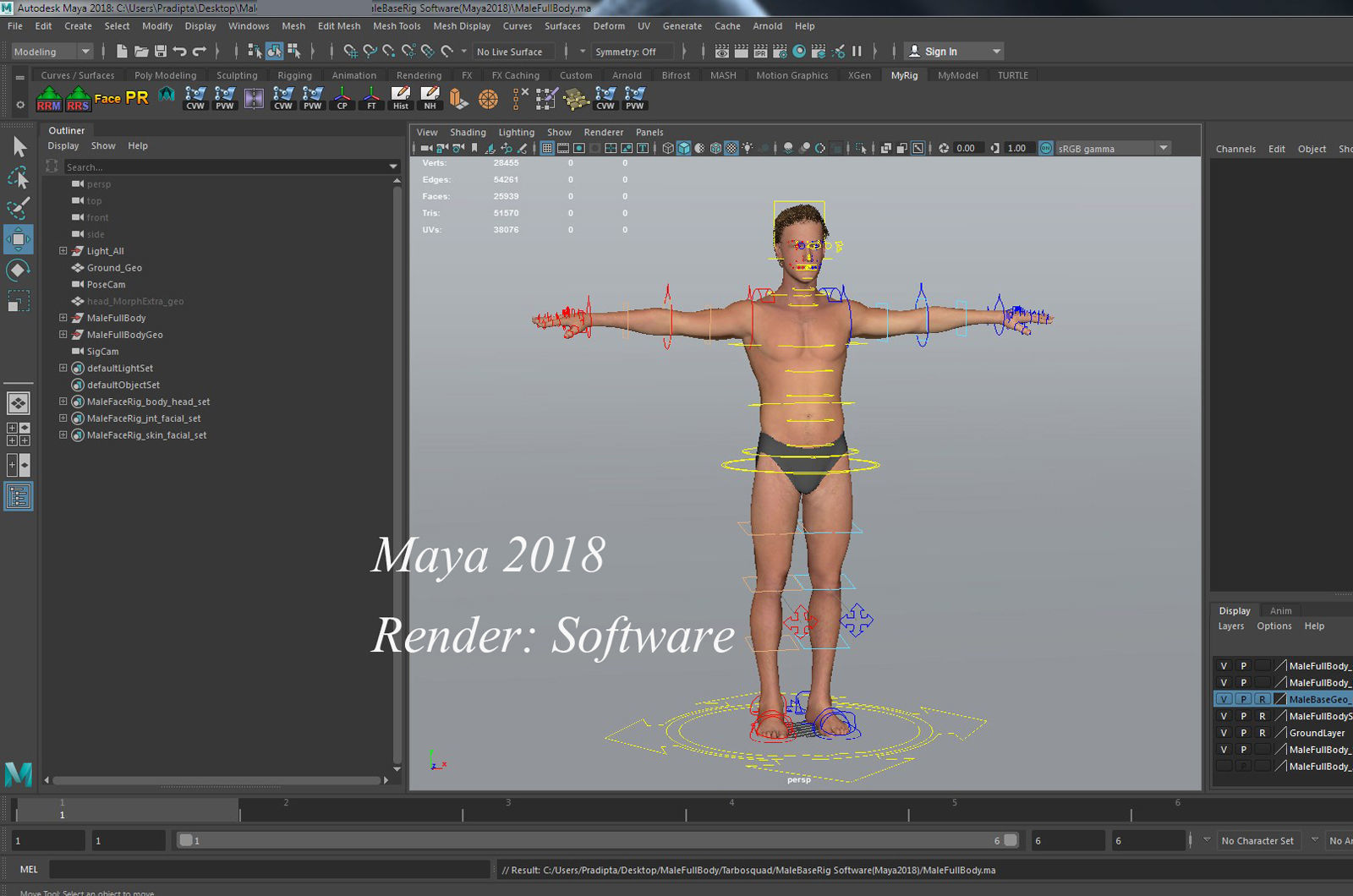 Male Full Body Rig Low-poly 3D model_29