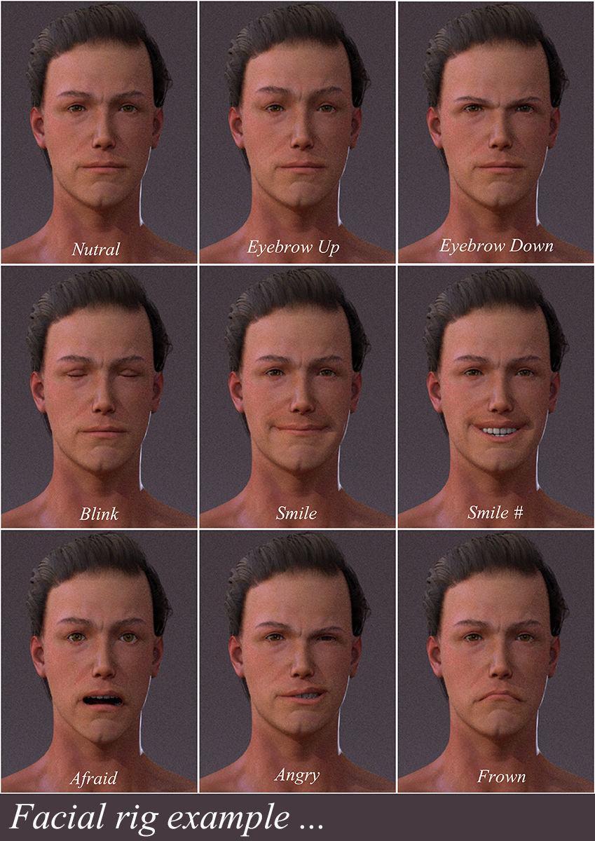 Male Full Body Rig Low-poly 3D model_9