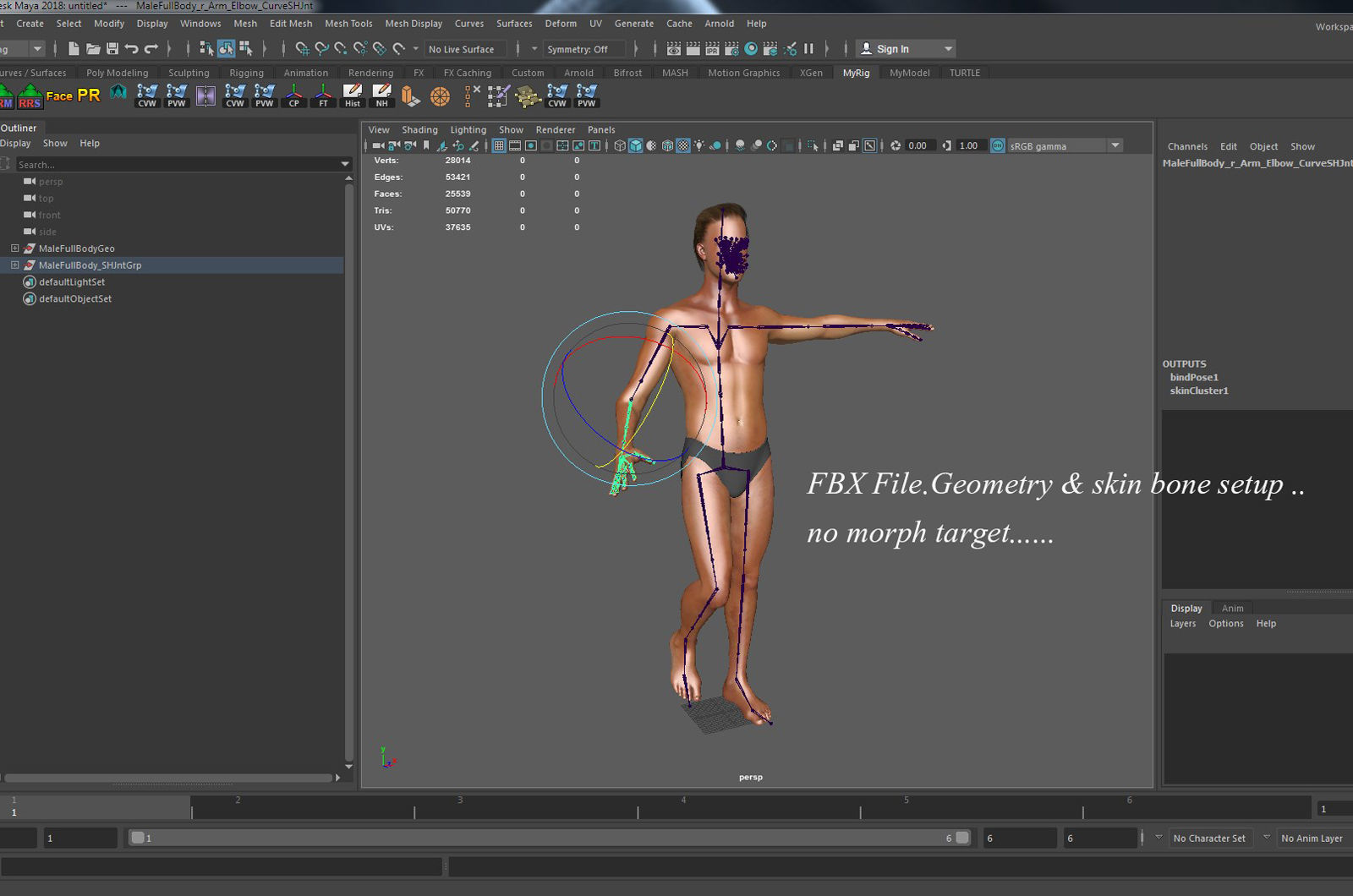 Male Full Body Rig Low-poly 3D model_32