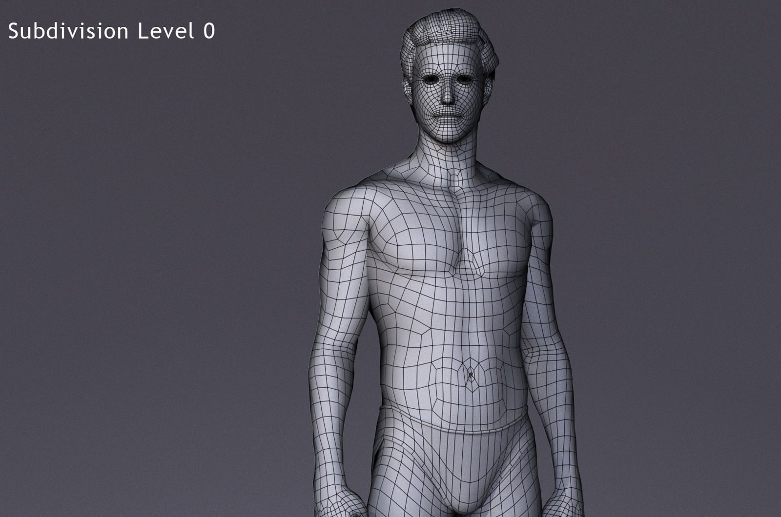 Male Full Body Rig Low-poly 3D model_18