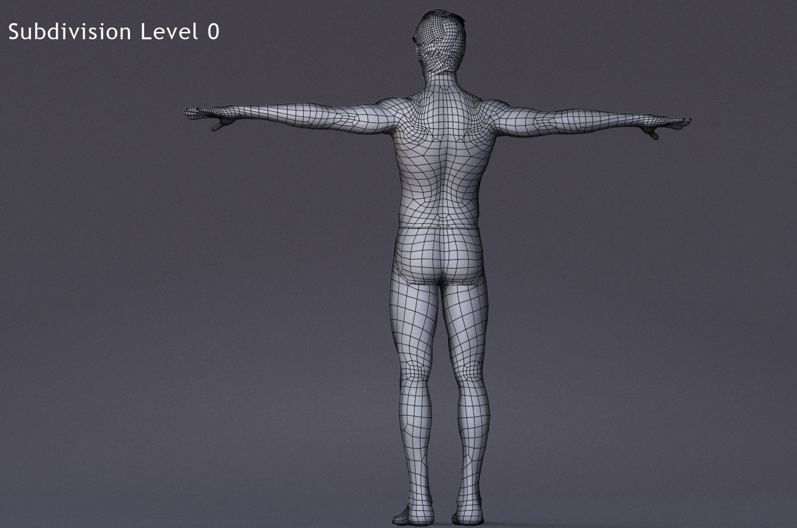 Male Full Body Rig Low-poly 3D model_17