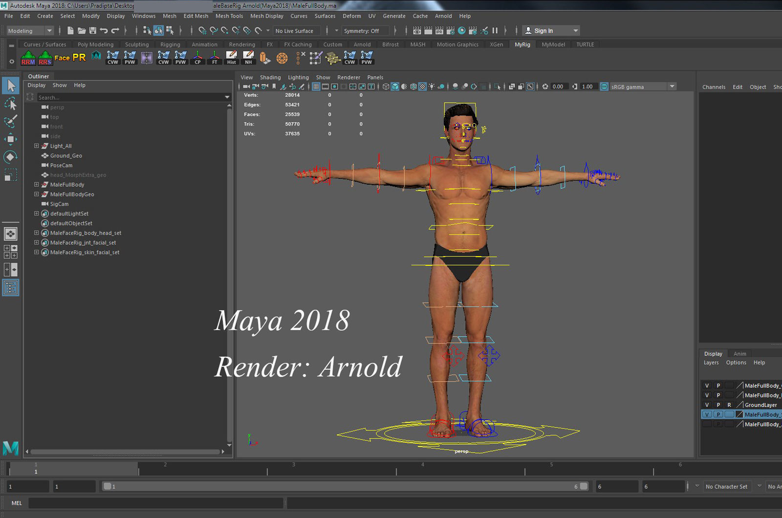 Male Full Body Rig Low-poly 3D model_31